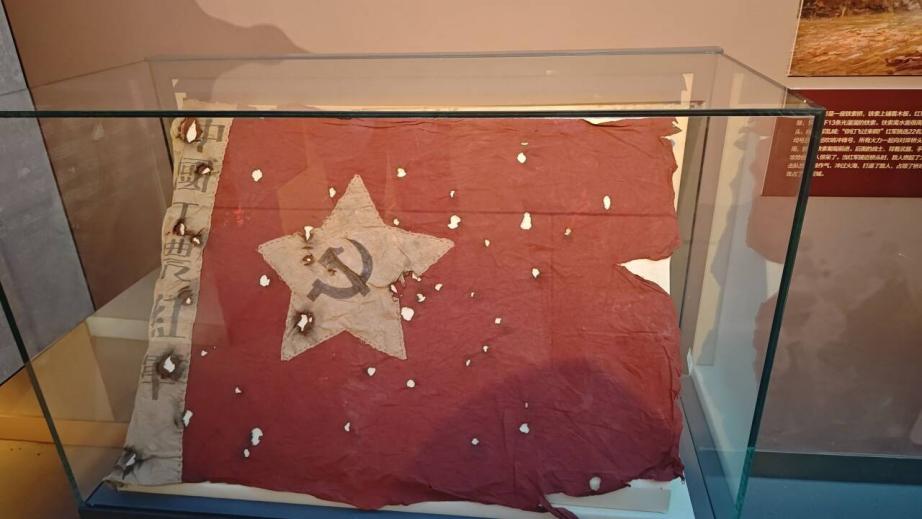 image5.jpeg